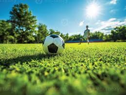 雷速体育最新版多场景应用展示